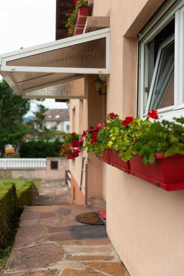 Gite Au Coeur De L'Alsace Maison Gatsby Staffelfelden Esterno foto