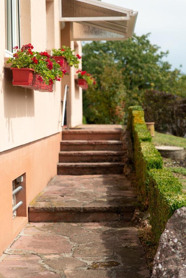 Gite Au Coeur De L'Alsace Maison Gatsby Staffelfelden Esterno foto